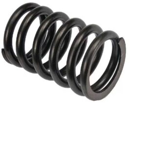 VPA2022 Sprężyna zaworu John Deere , Renault